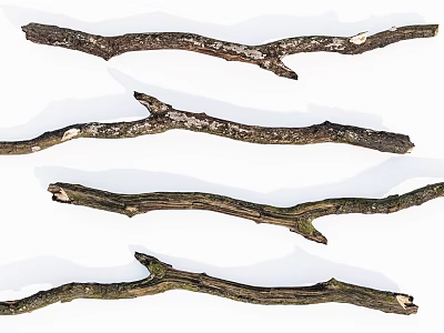 Natural Stone And Wood Branches For Rustic Home Decor Projects 3d model