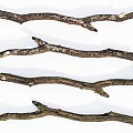 Natural Stone And Wood Branches For Rustic Home Decor Projects 3d model