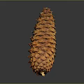 Detailed Natural Orange Pine Cone on Dark Background with Shiny Reflective Surface