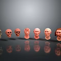 Medical Anatomical Head Models For Education Showing Skull To Facial Structures