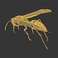 Modern Wasp Bumblebee 3d model