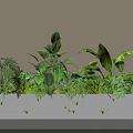 Diverse Green Potted Plants Arranged in White Rectangular Planter for Indoor Decor 3d model