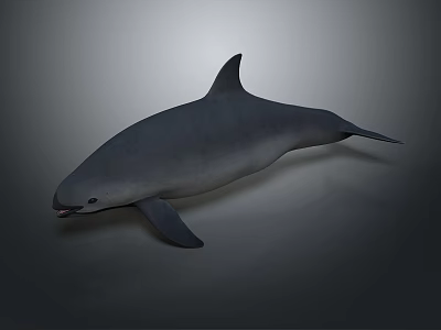 Highly Realistic Dolphin Marine Animal 3D Model Displaying Natural Swimming Posture 3d model