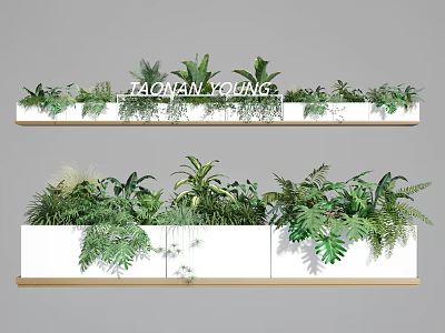 Decorative Potted Plants In White Rectangular Planters With Various Green Foliage 3d model