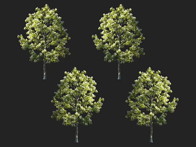 Four Lush Arbor Trees Featuring Green Foliage And Natural Trunk Design 3d model