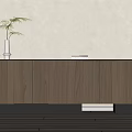 Sleek Modern Wooden Decorative Cabinet With Green Plant And White Vase