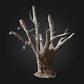 Natural Stone And Wood Decorative Trunk With Weathered Branches And Textured Base