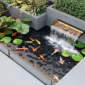 Elegant Water Fountain With Koi Fish And Lotus Leaves In Garden