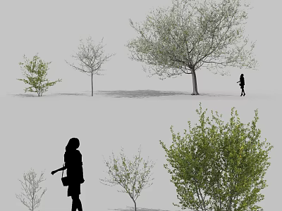 Arbor Trees of Different Sizes with Green Foliage and People Silhouettes 3d model
