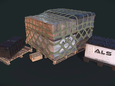 Large Cargo Box With Net Cover And ALS Labeled Packages On Pallets 3d model