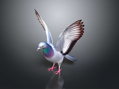 Colorful Pigeon with Spread Wings Purple Green Gray Feathers and Red Feet on Dark Background 3d model