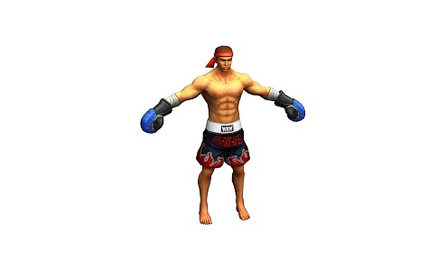 Octagonal cage fight boxer 2020330936 3d model