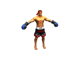 Octagonal cage fight boxer 2020330936 3d model
