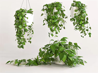 Lush Green Leafy Hanging Plants With Multiple Potted Arrangements And Fresh Foliage 3d model