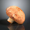 Single Large Fresh Brown Textured Mushroom on Black Reflective Surface Against Gray Background 3d model