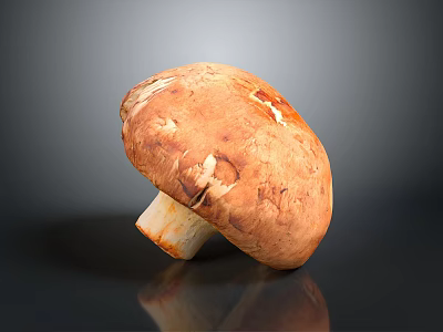 Single Large Fresh Brown Textured Mushroom on Black Reflective Surface Against Gray Background 3d model