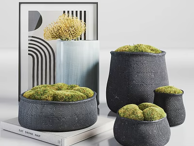 Modern Bonsai Potted Plants With Green Moss In Black Woven Pots And Decorative Art 3d model