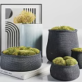 Modern Bonsai Potted Plants With Green Moss In Black Woven Pots And Decorative Art