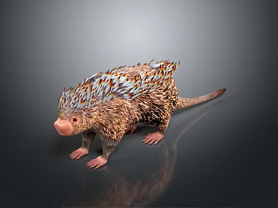 3D Creature Model With Feathery Quills Brown Orange White Standing On Dark Reflective Background 3d model