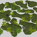 Micro Landforms Featuring Lush Vegetation Stones And Varied Natural Shapes