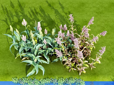 Vibrant Purple Blooms on Various Green Leaf Plants with Green Background and Blue Decorative Base 3d model