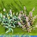Vibrant Purple Blooms on Various Green Leaf Plants with Green Background and Blue Decorative Base