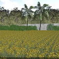 Vibrant Garden Landscape With Golden Yellow Flower Field Palm Trees And Stone Wall