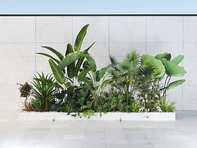 Potted Bonsai Plants With Various Green Large Leaves In White Planter Indoor Decor 3d model
