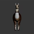 Realistic Brown And White Llama Standing On Gray Background With Detailed Coat