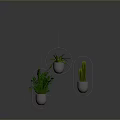 Hanging Green Plants in Metal Planters with Circular and Oval Holders on Gray Background