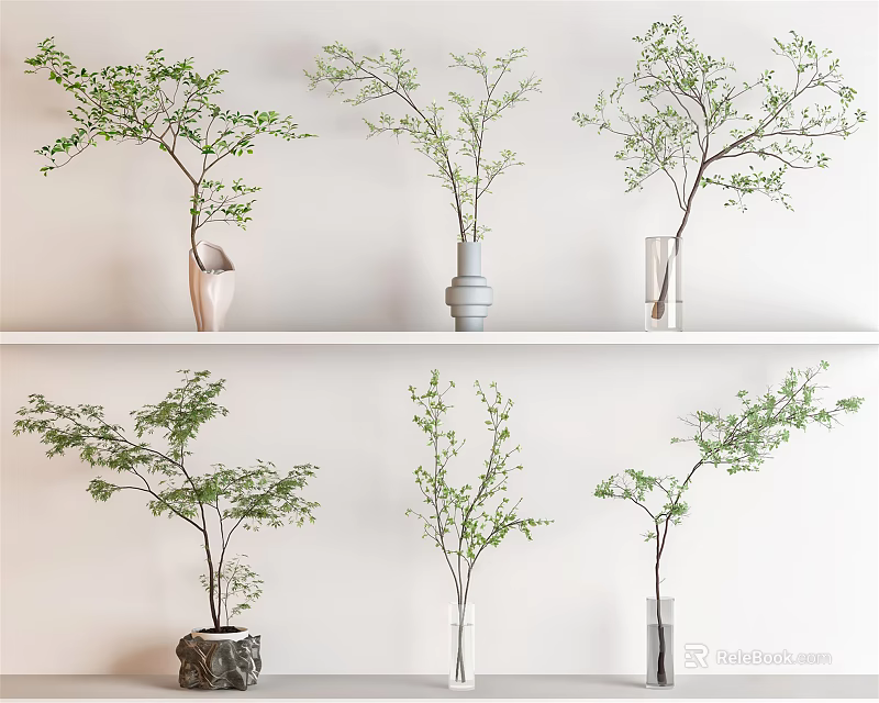 Stylish Vases With Green Foliage On Shelves Against White Wall Background 3d model 