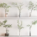Stylish Vases With Green Foliage On Shelves Against White Wall Background
