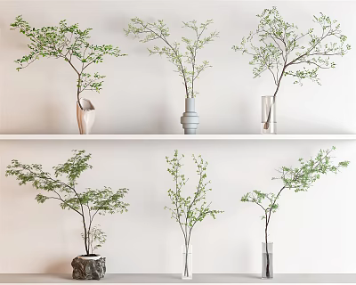 Stylish Vases With Green Foliage On Shelves Against White Wall Background 3d model