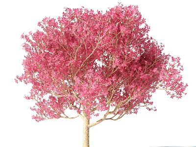 Beautiful Lush Arbor With Dense Vibrant Pink Blossoms And Light Trunk 3d model