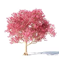 Beautiful Lush Arbor With Dense Vibrant Pink Blossoms And Light Trunk