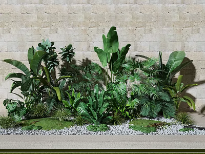 Lush Green Tropical Plants with Large Leaves Against Brick Wall and Pebbles Grass Lawn 3d model