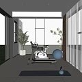 Modern Recreation Room With Exercise Bike Yoga Mat Large Windows And Green View