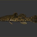 Catfish Carp Sturgeon Bass Freshwater Fish Various Carp Grass Carp Crucian Carp 3d model