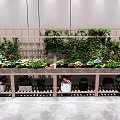 Bonsai and Potted Plants Display with Various Greenery on Wooden Shelves Indoor