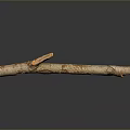 Natural Wooden Branch With Textured Surface Cuts And Reflection On Dark Background