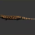 Lizard Anime Lizard Chameleon Cartoon Lizard Reptile Cold Blooded Animal Reptile Class 3d model