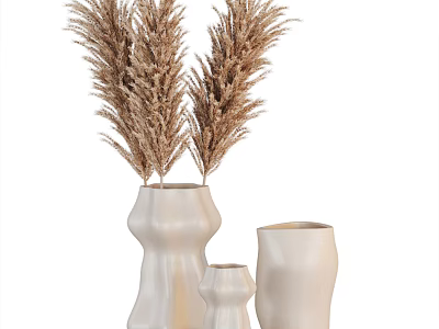 White Vases With Different Shapes And Dried Plants For Modern Home Decor 3d model