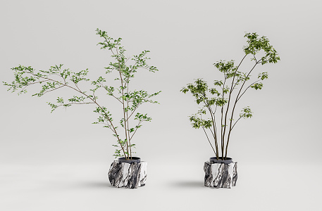 Modern potted plant potted combination 3d model