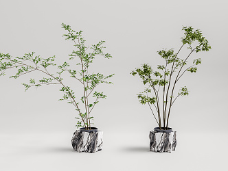 Modern potted plant potted combination 3d model