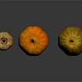 Three Fresh Vegetables in Brown Red Orange and Yellow on Black Reflective Surface with Reflections