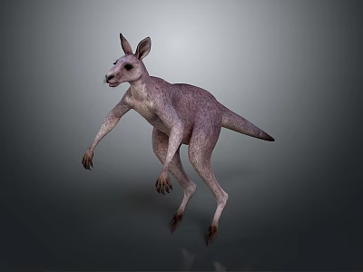 3D Rendered Kangaroo With Purple Textured Fur And Standing Pose On Gray Background 3d model