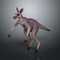 3D Rendered Kangaroo With Purple Textured Fur And Standing Pose On Gray Background