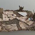 Scattered Cardboard Pieces On Dirt Ground With Fallen Leaves Near Tree Trunk And Water Edge