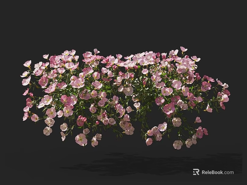 Beautiful Pink And White Flower Blooms On Dark Background With Green Leaves 3d model 