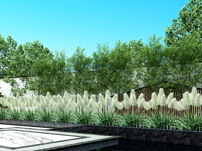 Bamboo Plants In Modern Outdoor Landscape Design With Green Trees And Clear Blue Sky 3d model